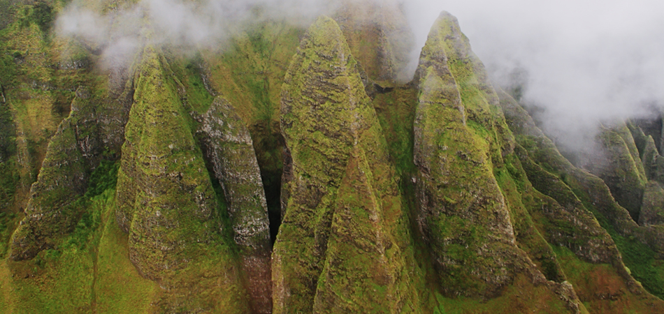 Have the perfect helicopter tour
